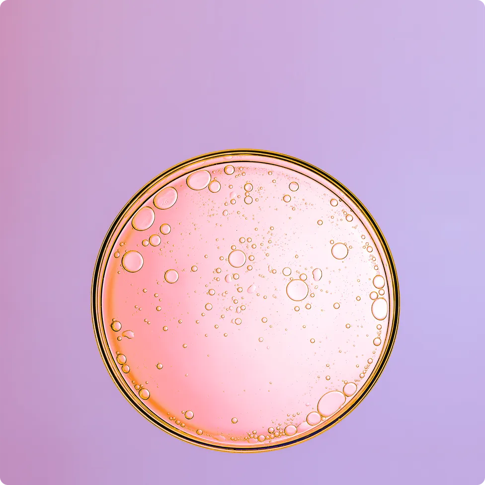 Healthcare & Life Sciences