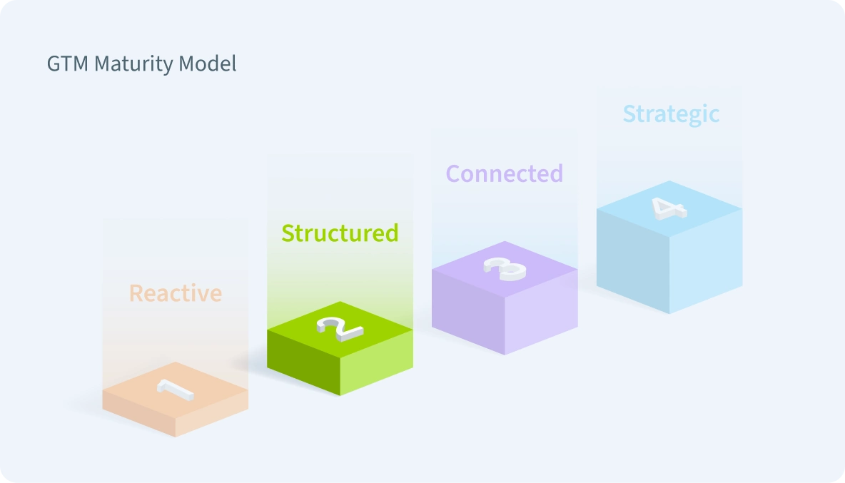 GTM Maturity Model: Structured